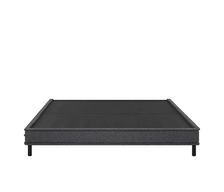 Base Matrimonial Copilco